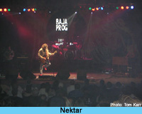 Nektar (photo: Tom Karr)