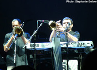 Frogg Cafe at NEARFest (photo: Stephanie Sollow)